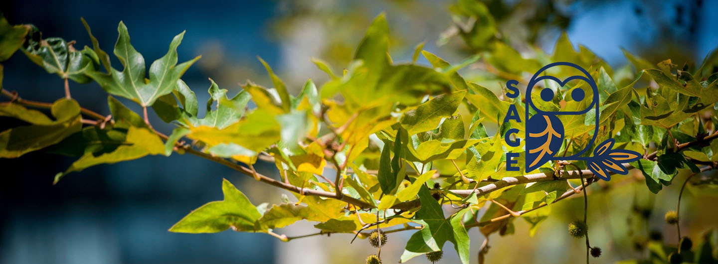 tree leaves and SAGE logo